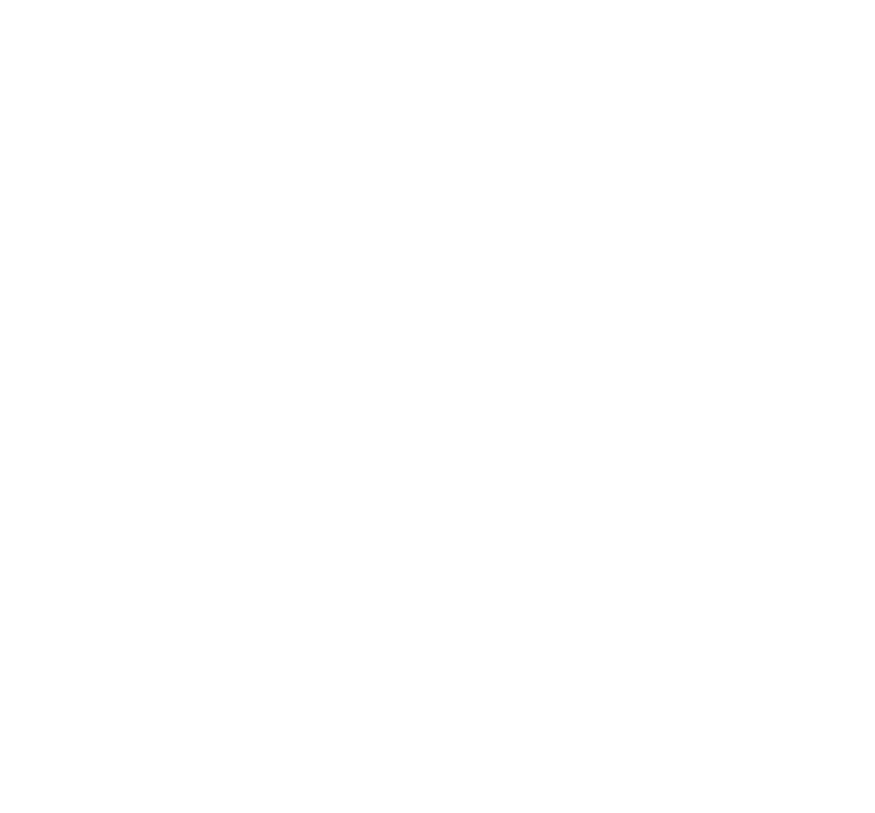 Immigration Star Support Services